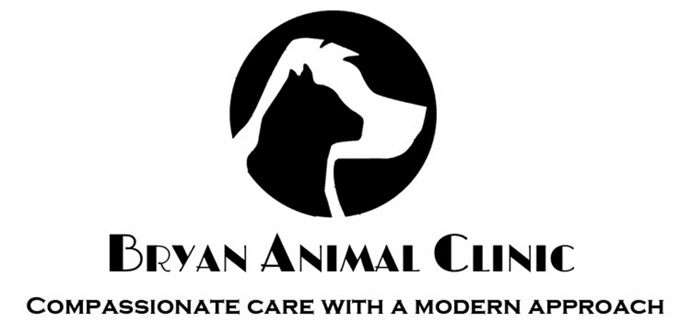 Bryan Animal Clinic