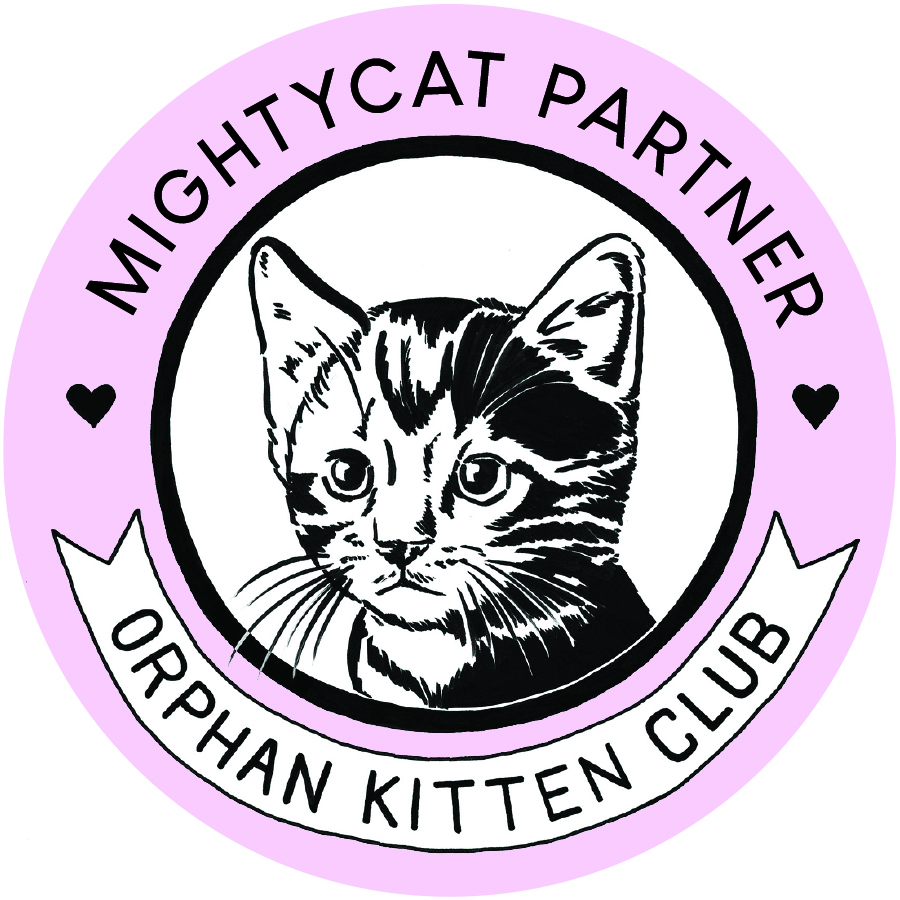 Orphan Kitten Club